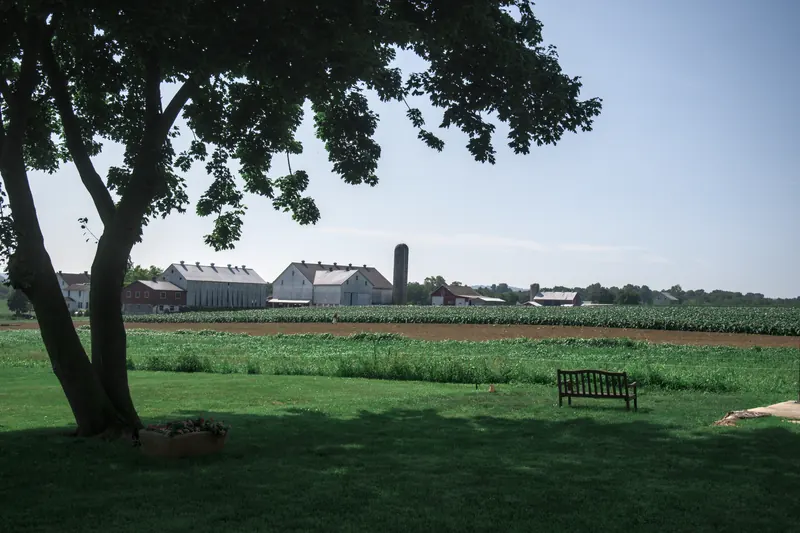 Exterior grounds photograph